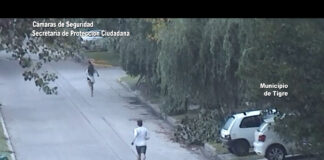 Tigre: El Sistema Alerta Tigre Global logro detener a un hombre que golpeaba salvajemente a su pareja