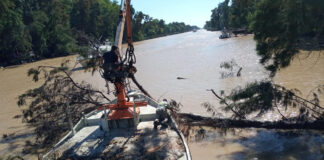 Tigre: Se extienden los trabajos de destronque en el Delta