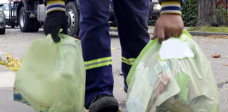 Tigre: Así funcionará el servicio de recolección de residuos durante el fin de semana largo