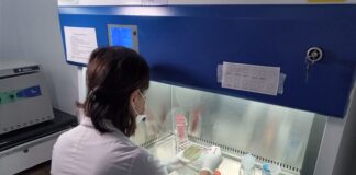 San Isidro: El Hospital Materno Infantil sumó equipos para optimizar diagnósticos