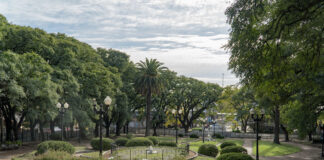 San Isidro: Cómo son los primeros trabajos de reconstrucción de la plaza mitre