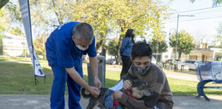 San Isidro: Dónde vacunar gratis mascotas