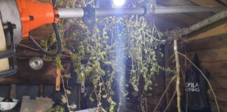 Escobar: Desbaratan una banda en el barrio El Cazador que se dedicaba a la venta de marihuana