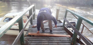 Tigre: el Municipio profundiza los trabajos de destronque y reparación de muelles, puentes y luminarias en el Delta
