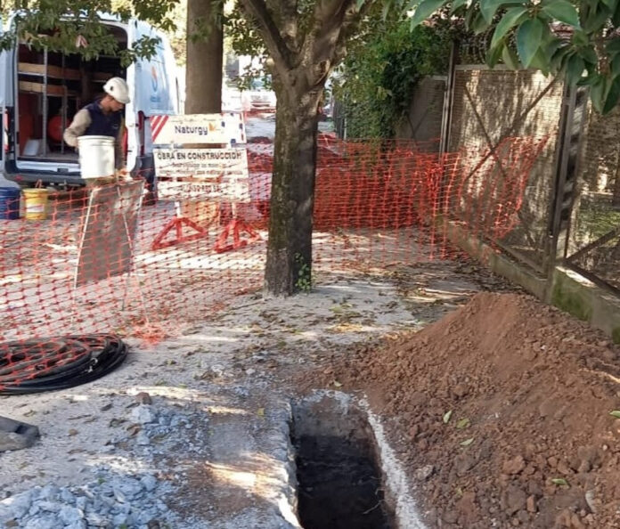 Tigre Obra