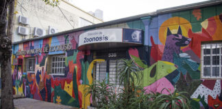 San Isidro: El municipio moderniza la sede central de Zoonosis