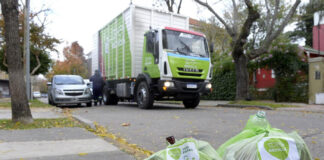 Tigre: Alcanzó un nuevo récord de recolección de reciclables