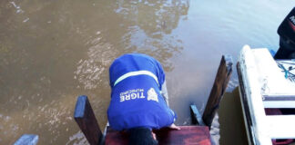 Tigre: El Municipio realiza trabajos de mantenimiento de muelles y destronque en el Delta