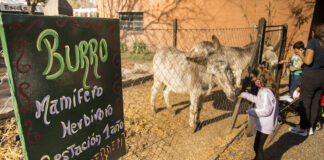 San Isidro: Vacaciones de Invierno en la Chacra San Isidro Labrador