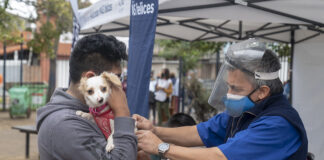 San Isidro: Operativo para tramitar la Tarjeta Ciudadana y vacunar mascotas