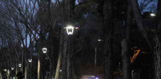 San Isidro: Nuevas luminarias led en la senda aeróbica del Bajo
