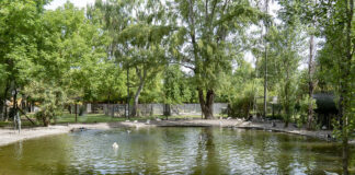 San Isidro: La primavera se festeja en la Chacra San Isidro Labrador