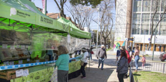 San Isidro: Para ahorrar en la compra de alimentos sigue el Mercado en tu Barrio