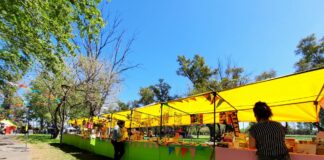 Malvinas: Llega Feria Inquieta Bs. As.