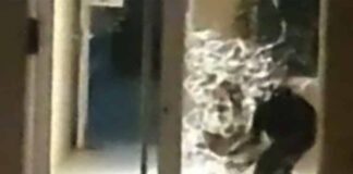 Tigre: Detienen al “Scarface” de Rincón de Milberg con dosis de cocaína, tras efectuar disparos en su casa