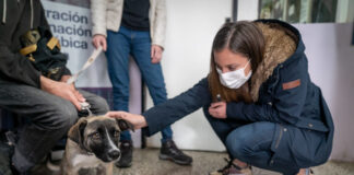 San Isidro: La salud de las mascotas también es prioridad para el municipio