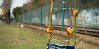 San Isidro: Extiende su corredor ecológico en la costa