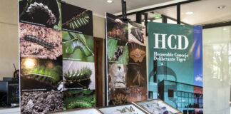 Tigre: El HCD sigue abriendo sus puertas con nuevas propuestas