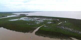 San Isidro: Cuáles son los nombres que los vecinos eligieron para las islas nuevas