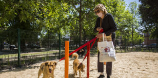 San Isidro: Inauguró su cuarto canil para mascotas en Villa Adelina