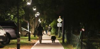 San Isidro: Terminaron los trabajos en la senda aeróbica de Lasalle en el Bajo