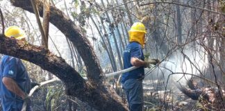 San Fernando: El foco de incendio en el Delta al momento está controlado