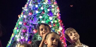 San Isidro: Llegó la Navidad se encendieron las luces del enorme árbol del puerto