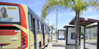Tigre: Cómo funcionarán los principales servicios durante el 31 y el 1