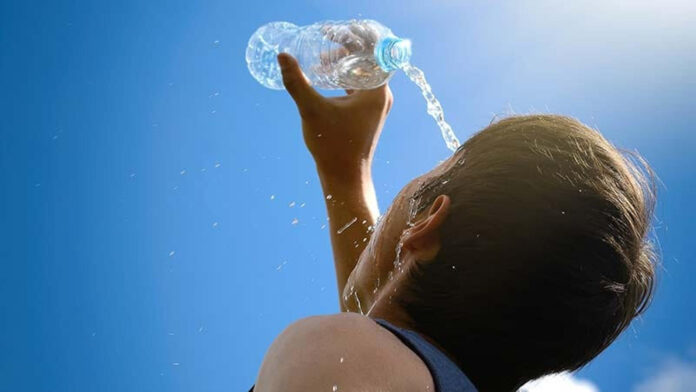 Tigre Calor
