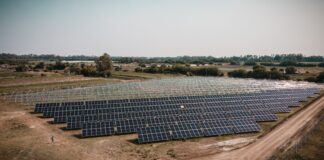 Escobar: Loma Verde, ya se colocaron la mitad de los paneles solares del primer parque solar municipal de la Argentina