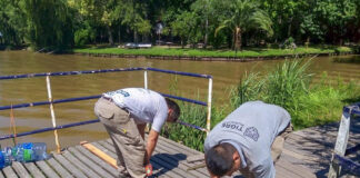 Tigre: Se realizó tareas de mantenimiento en muelles del Delta