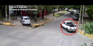 Tigre: Robó un vehículo en Don Torcuato y el COT lo detuvo velozmente