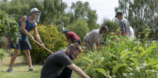 San Isidro: Está abierta la inscripción para el curso de Huertas Agroecológicas