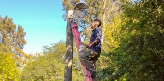 Tigre: El Municipio realizó mantenimientos de alumbrado público en el Delta