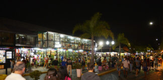 Tigre: Se llevó adelante la Noche del Puerto de Frutos