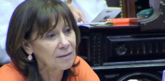 La diputada Aparicio pidió que la deuda con el FMI se trate “como un tema de Estado”
