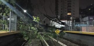 La Tormenta también afectó los ramales a Tigre y Bartolomé Mitre