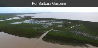Invertir en Nuestro Planeta
