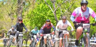 Es oficial: Se promulgó la Ley de Movilidad Sustentable impulsaba por Luis Vivona