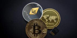 Vicente López: Brinda un curso sobre Cryptomonedas junto a Lemon Cash