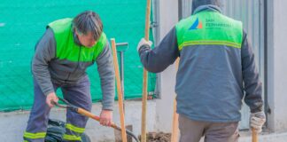 San Fernando: Sigue plantando nuevos árboles en distintos barrios