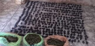 Escobar: En Garín, otra banda desarticulada que se dedicaba a la venta de droga