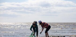 Vicente López: Se realiza una jornada de Acción Climática en la costa
