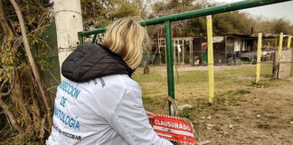 Escobar: La Municipalidad clausuró un criadero de cerdos clandestino