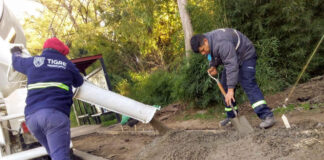 Tigre: Nuevas veredas vecinales en Las Tunas
