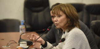 San Fernando: Alicia Aparicio recibió en el Congreso de la Nación a representantes de Murgas en Red