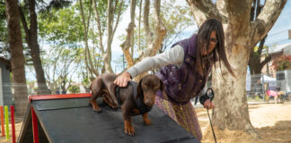 San Isidro: Se sumó otro canil para mascotas en Plaza Alsina