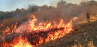 Se reglamentó la Ley provincial de Manejo del Fuego