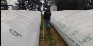 La AFIP incautó 1.500 toneladas de maíz de una empresa agrícola por falta de documentación