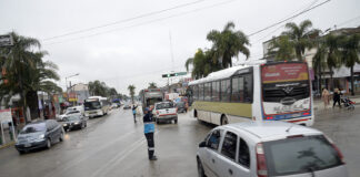 Tigre: Finalizó la obra de la Ruta 197